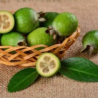 Feijoa nuotrauka