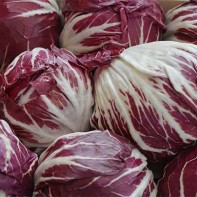 Radicchio 4 nuotrauka