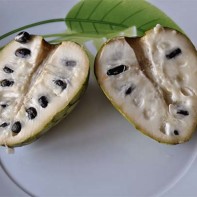 Cherimoya vaisių nuotrauka