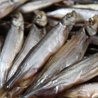 Capelin 3 nuotrauka