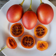 Tamarillo 2 nuotrauka