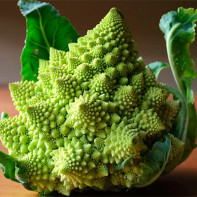 Romanesco kopūstų nuotrauka 4