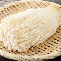 Enoki