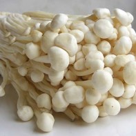 Enoki 4