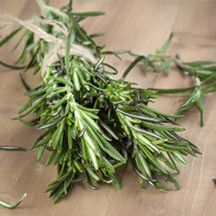 Rosemary 3 nuotrauka