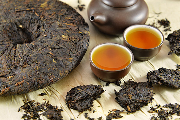 Puerh arbatos nauda sveikatai