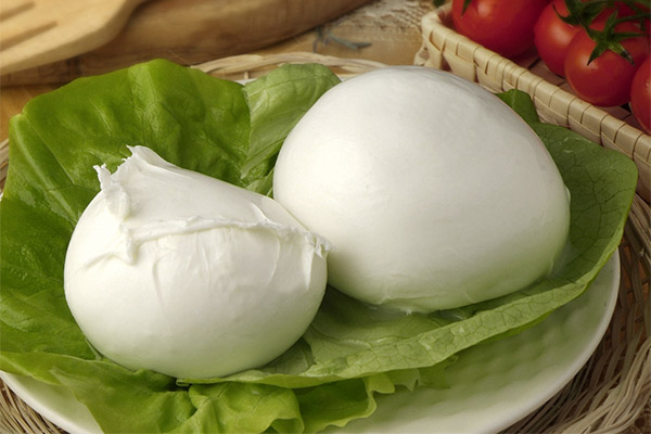 Mozzarella sūris nėštumo metu