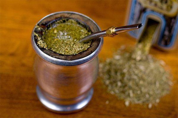 Įdomūs faktai apie yerba mate