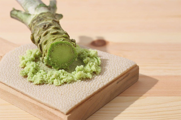 Wasabi medicinai