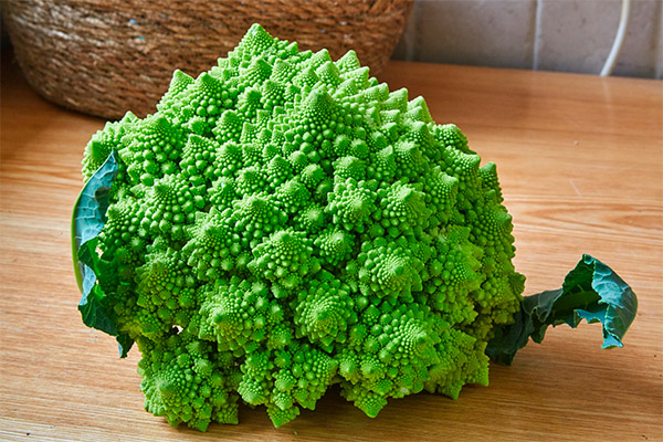 Romanesco kopūstų nauda ir žala