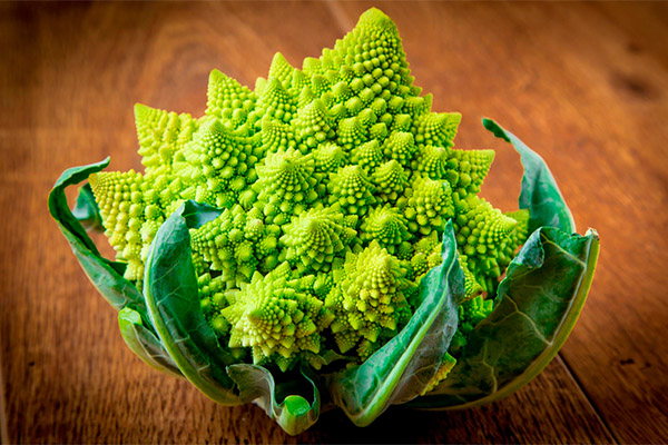 Romanesco kopūstų žala ir kontraindikacijos