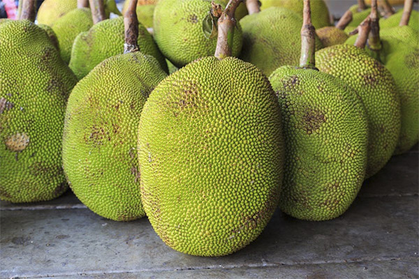 Jackfruit privalumai