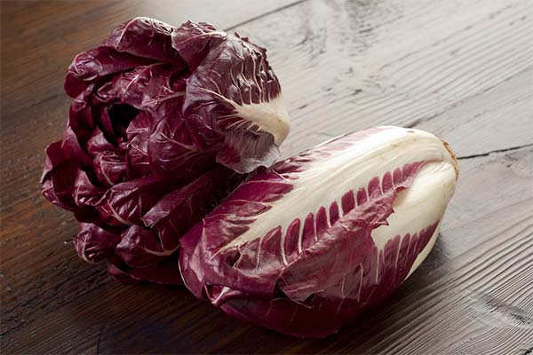 Radicchio